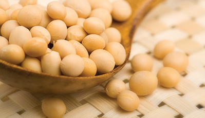 兰科博弈·RankBet(中国)有限公司官网