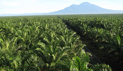 兰科博弈·RankBet(中国)有限公司官网