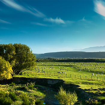 兰科博弈·RankBet(中国)有限公司官网