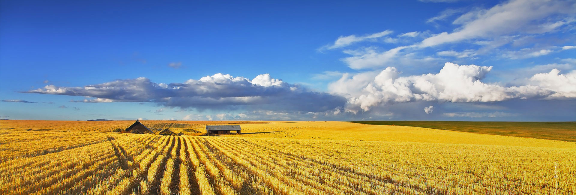 兰科博弈·RankBet(中国)有限公司官网