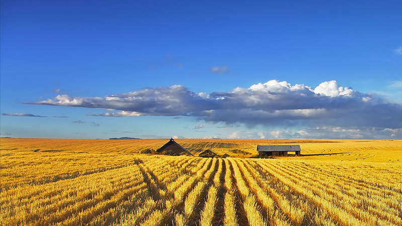 兰科博弈·RankBet(中国)有限公司官网