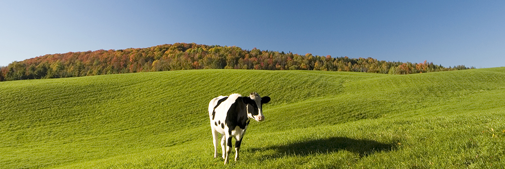 兰科博弈·RankBet(中国)有限公司官网