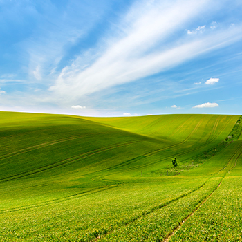 兰科博弈·RankBet(中国)有限公司官网